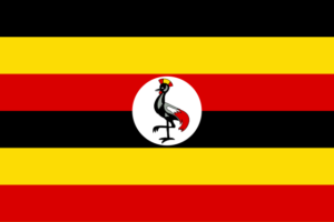 Università UGANDA